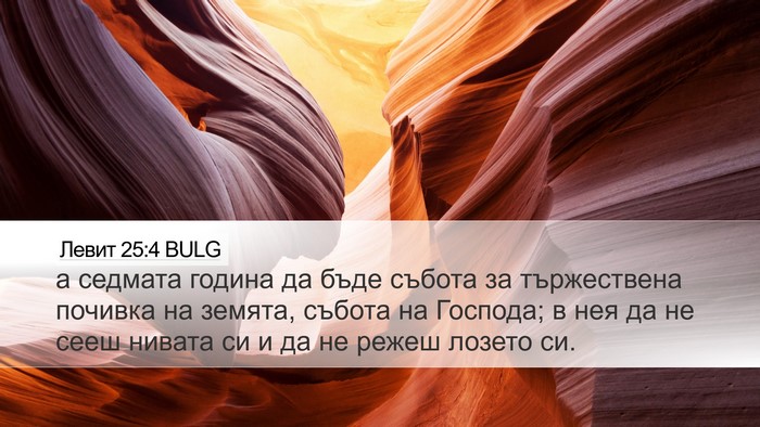 Левит 25:4 BULG Bible Verse Image