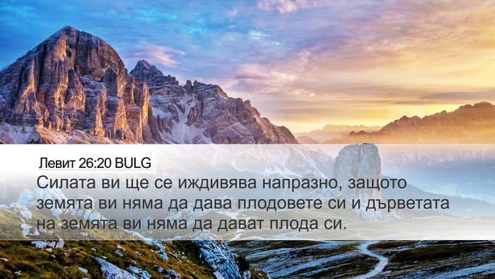 Левит 26:20 BULG Bible Verse Image