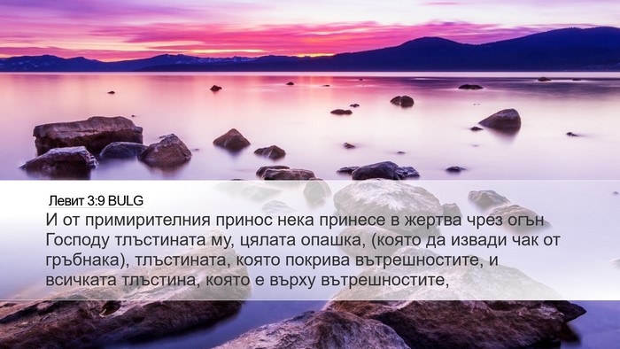 Левит 3:9 BULG Bible Verse Image