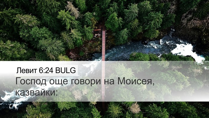 Левит 6:24 BULG Bible Verse Image