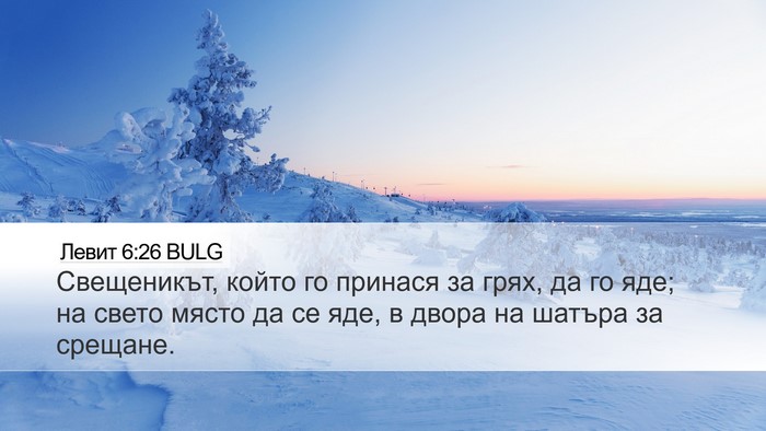 Левит 6:26 BULG Bible Verse Image