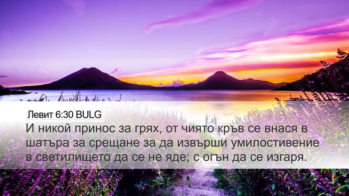 Левит 6:30 BULG Bible Verse Image