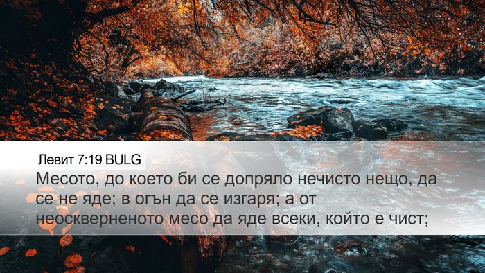 Левит 7:19 BULG Bible Verse Image