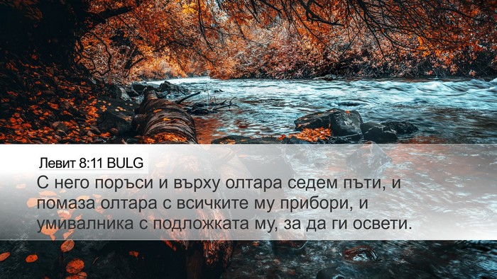 Левит 8:11 BULG Desktop Wallpaper - С него поръси и върху - Desktop Bible Verse Wallpaper