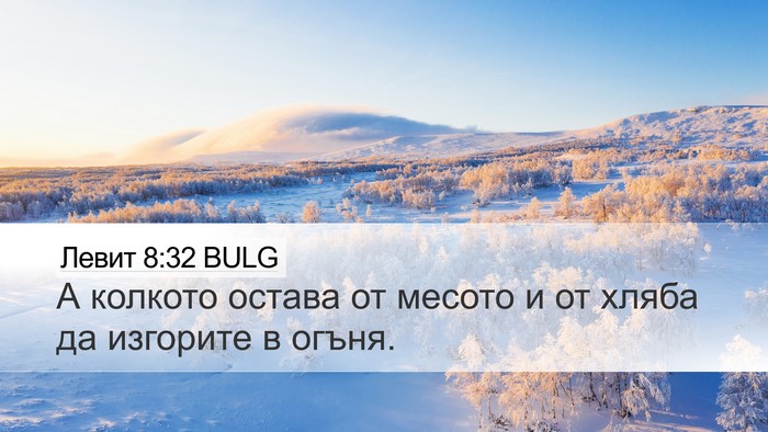 Левит 8:32 BULG Desktop Wallpaper - А колкото остава от месото - Desktop Bible Verse Wallpaper