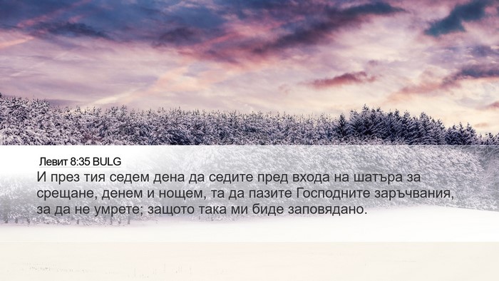 Левит 8:35 BULG Bible Verse Image