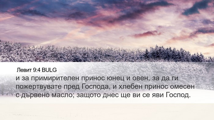 Левит 9:4 BULG Desktop Wallpaper - и за примирителен принос - Desktop Bible Verse Wallpaper