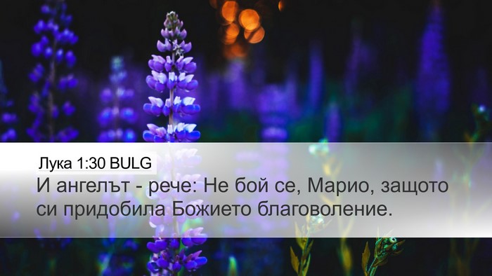 Лука 1:30 BULG Bible Verse Image