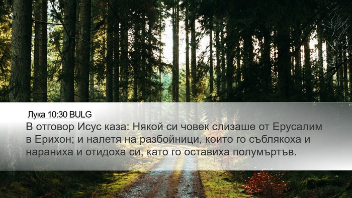 Лука 10:30 BULG Bible Verse Image