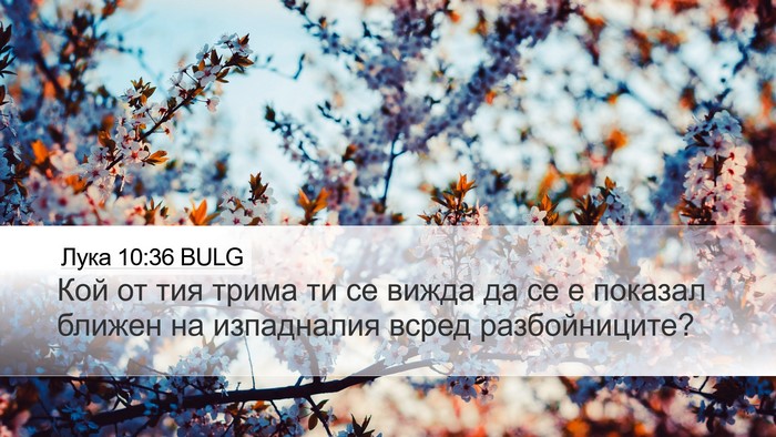 Лука 10:36 BULG Desktop Wallpaper - Кой от тия трима ти се - Desktop Bible Verse Wallpaper