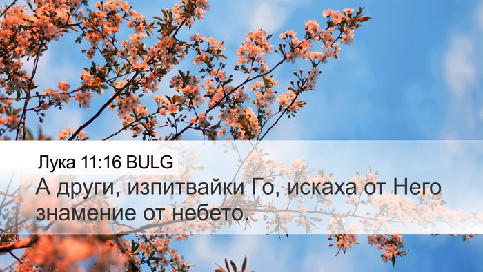 Лука 11:16 BULG Desktop Wallpaper - А други, изпитвайки Го, - Desktop Bible Verse Wallpaper