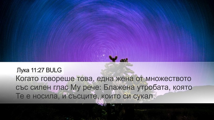 Лука 11:27 BULG Bible Verse Image