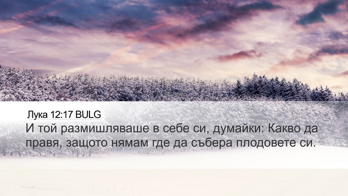Лука 12:17 BULG Bible Verse Image
