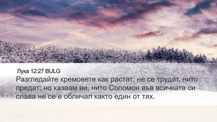 Лука 12:27 BULG Bible Verse Image