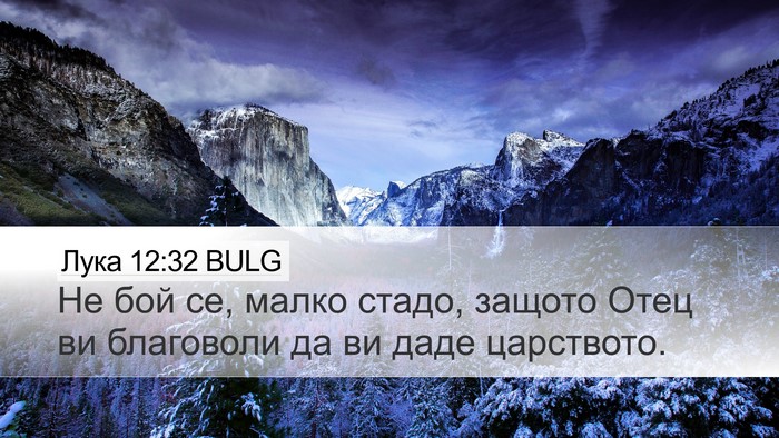 Лука 12:32 BULG Bible Verse Image