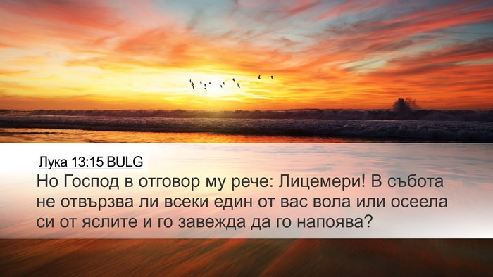 Лука 13:15 BULG Bible Verse Image