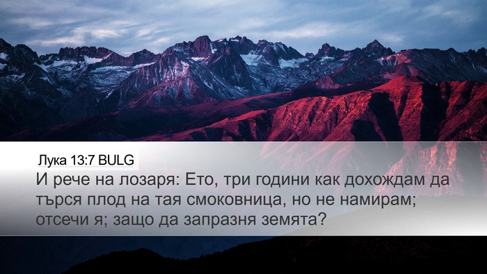 Лука 13:7 BULG Desktop Wallpaper - И рече на лозаря: Ето, три - Desktop Bible Verse Wallpaper