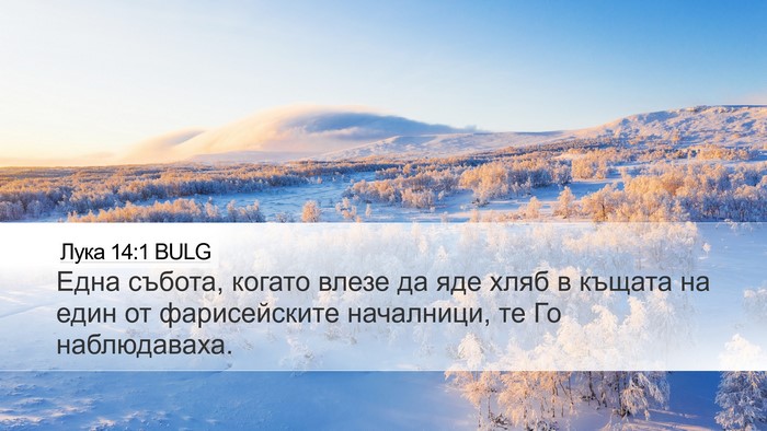 Лука 14:1 BULG Bible Verse Image