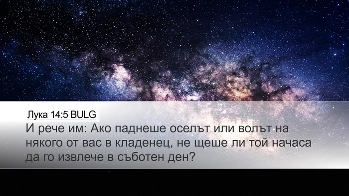 Лука 14:5 BULG Bible Verse Image
