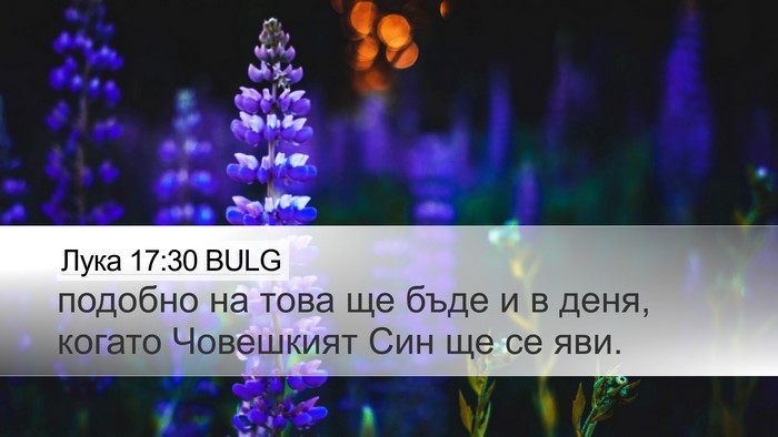 Лука 17:30 BULG Bible Verse Image
