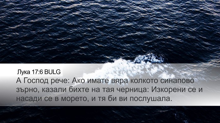 Лука 17:6 BULG Bible Verse Image