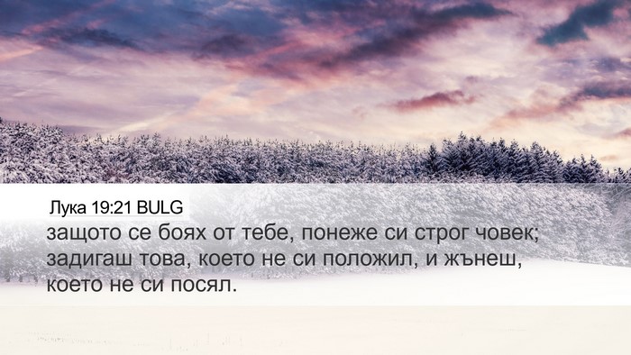 Лука 19:21 BULG Bible Verse Image