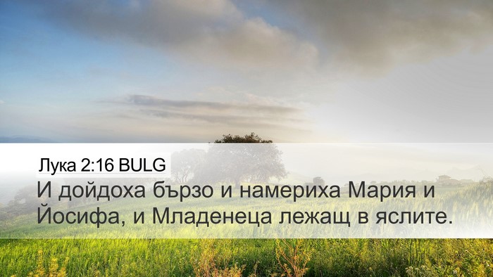 Лука 2:16 BULG Desktop Wallpaper - И дойдоха бързо и намериха - Desktop Bible Verse Wallpaper