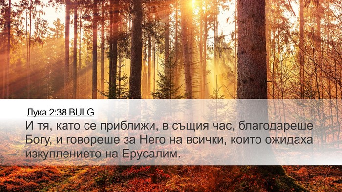 Лука 2:38 BULG Bible Verse Image
