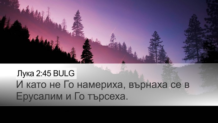 Лука 2:45 BULG Desktop Wallpaper - И като не Го намериха, - Desktop Bible Verse Wallpaper