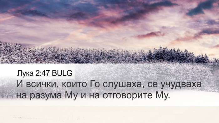 Лука 2:47 BULG Bible Verse Image