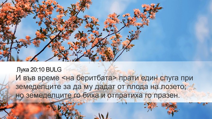 Лука 20:10 BULG Bible Verse Image