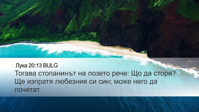 Лука 20:13 BULG Bible Verse Image