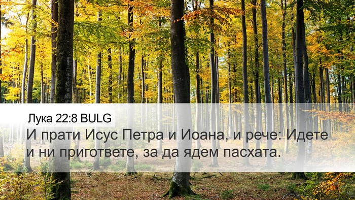 Лука 22:8 BULG Desktop Wallpaper - И прати Исус Петра и Иоана, - Desktop Bible Verse Wallpaper