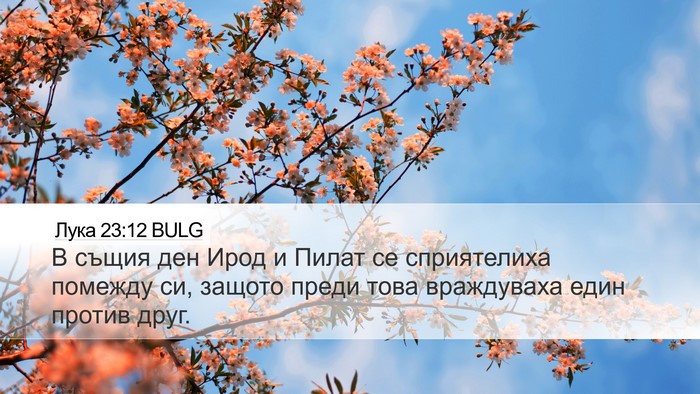 Лука 23:12 BULG Desktop Wallpaper - В същия ден Ирод и Пилат се - Desktop Bible Verse Wallpaper