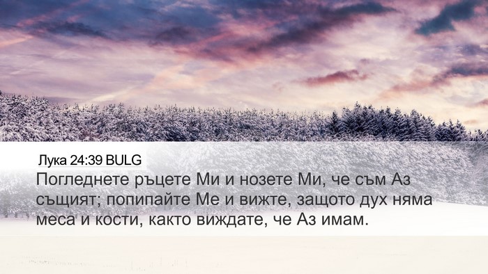 Лука 24:39 BULG Bible Verse Image