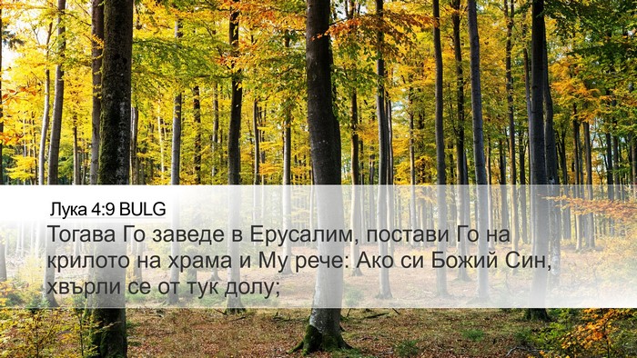Лука 4:9 BULG Bible Verse Image