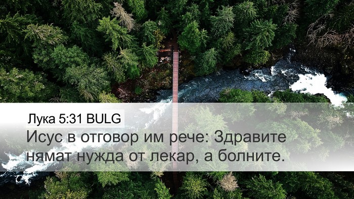Лука 5:31 BULG Bible Verse Image