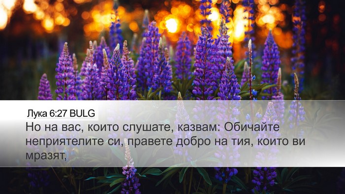 Лука 6:27 BULG Bible Verse Image