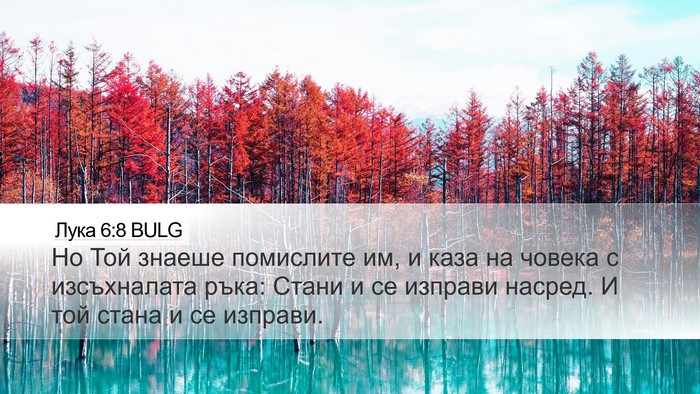 Лука 6:8 BULG Bible Verse Image