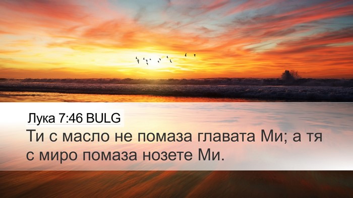 Лука 7:46 BULG Bible Verse Image