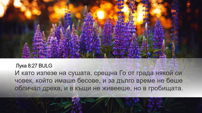 Лука 8:27 BULG Bible Verse Image