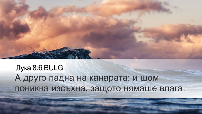 Лука 8:6 BULG Desktop Wallpaper - А друго падна на канарата; - Desktop Bible Verse Wallpaper
