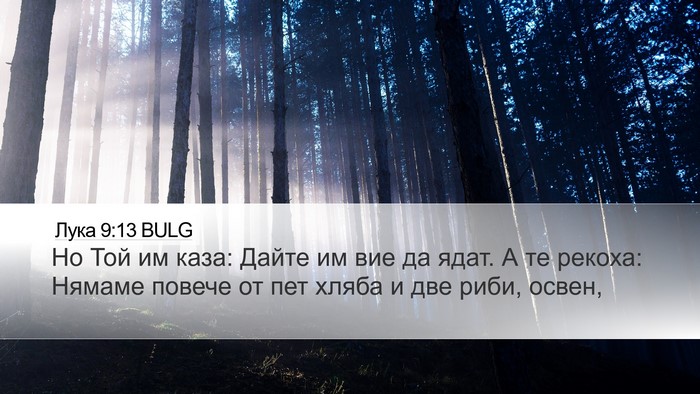 Лука 9:13 BULG Bible Verse Image