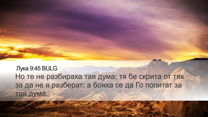 Лука 9:45 BULG Bible Verse Image