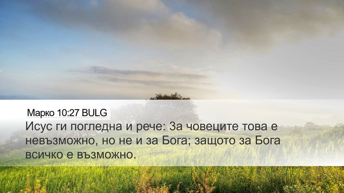Марко 10:27 BULG Bible Verse Image