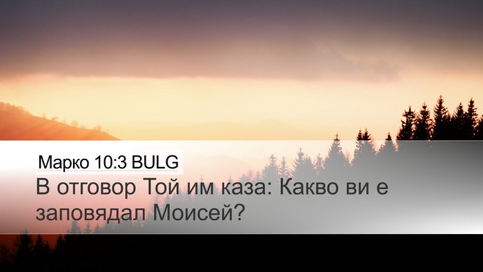 Марко 10:3 BULG Desktop Wallpaper - В отговор Той им каза: - Desktop Bible Verse Wallpaper
