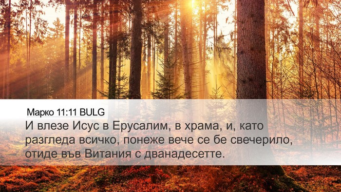 Марко 11:11 BULG Bible Verse Image