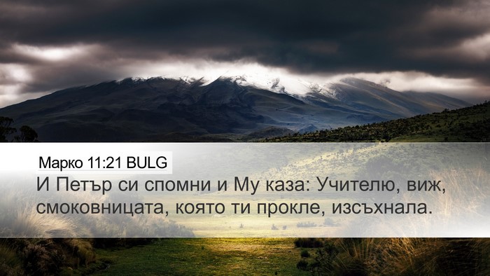 Марко 11:21 BULG Bible Verse Image