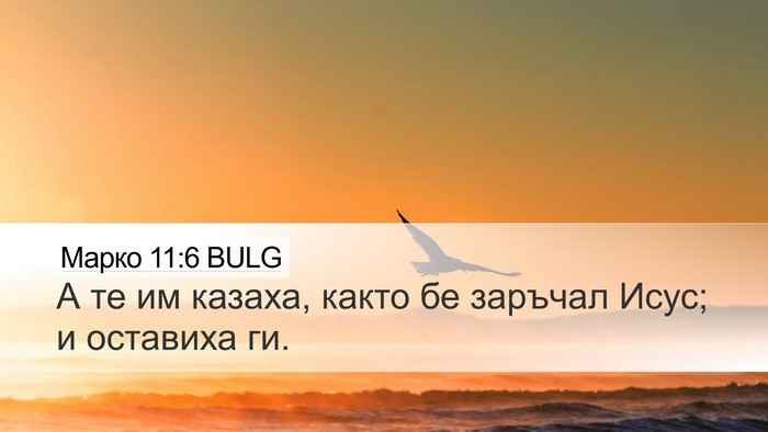 Марко 11:6 BULG Desktop Wallpaper - А те им казаха, както бе - Desktop Bible Verse Wallpaper