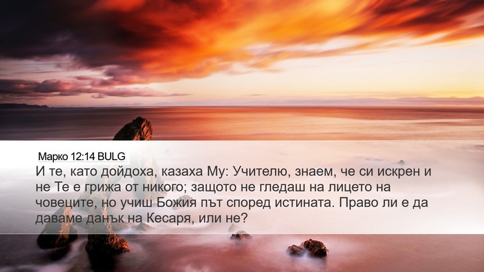 Марко 12:14 BULG Bible Verse Image